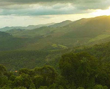 monteverde Monte Verde (foto: KuriuwaHotel.com.br)