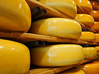 ernesto-gouda Loja de queijos