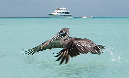 Sobrevoando Los Roques Voando sobre Los Roques