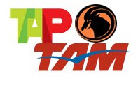 taptam Sopa de letrinhas