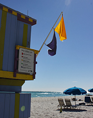 miamibeach4 miamibeach4