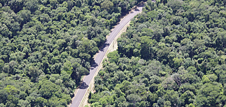 heli15 Um rio? Não, a estrada do parque brasileiro