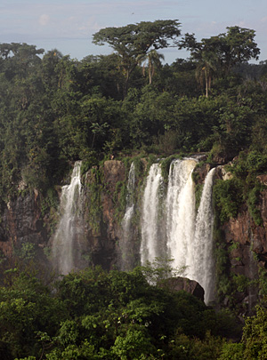 igubr12 Sempre lembrando que estamos na selva