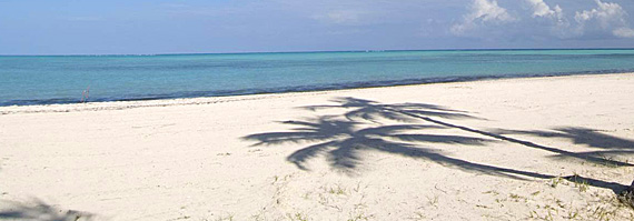 Punta Cana Punta Cana
