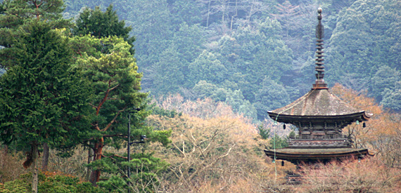 Em Kyoto Em Kyoto