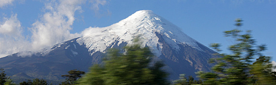 O OSORNO DA JANELA DO ÔNIBUS! O OSORNO DA JANELA DO ÔNIBUS!