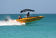 Palm Beach Palm Beach