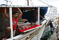 Feira matinal Feira matinal