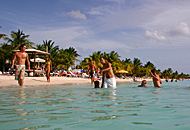 Seaquarium Beach Seaquarium Beach