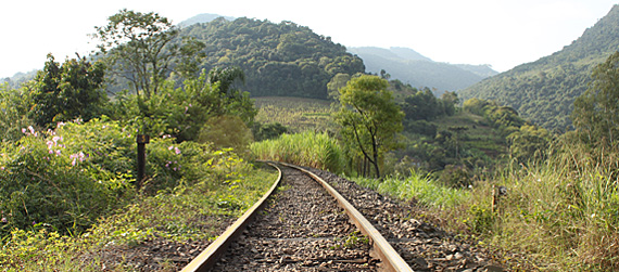 Ferrovia do Trigo Ferrovia do Trigo