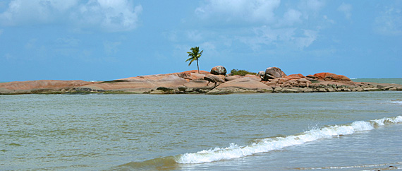Ilha do Coqueiro Solitário, Tamandaré Ilha do Coqueiro Solitário, Tamandaré