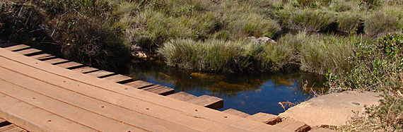 Serra da Canastra. Foto: Ernesto o Pato e Cibele Fabichak Serra da Canastra. Foto: Ernesto o Pato e Cibele Fabichak