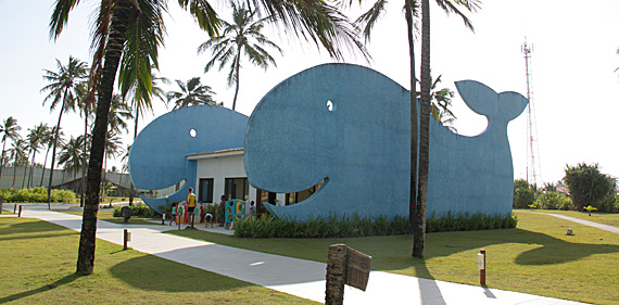 Kid's Club do Starfish Ilha de Santa Luzia, Aracaju (SE) Kid's Club do Starfish Ilha de Santa Luzia, Aracaju (SE)