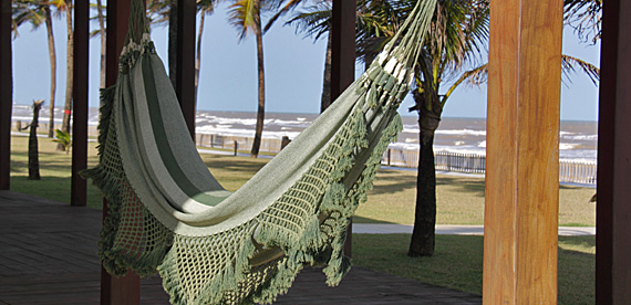 Starfish Ilha de Santa Luzia, Aracaju (SE) Starfish Ilha de Santa Luzia, Aracaju (SE)