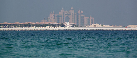 Palm Island Palm Island
