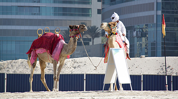 Praia de Jumeirah, Dubai Praia de Jumeirah, Dubai