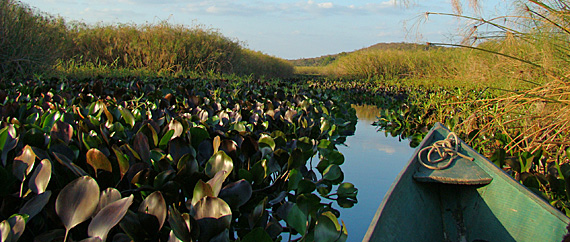 Rio Roncador, Chapada Diamantina. foto: Cibele Fabichak Rio Roncador, Chapada Diamantina. foto: Cibele Fabichak