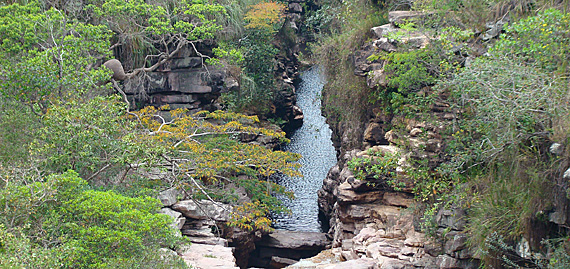 Rio na Chapada Diamantina. Foto: Cibele Fabichak Rio na Chapada Diamantina. Foto: Cibele Fabichak