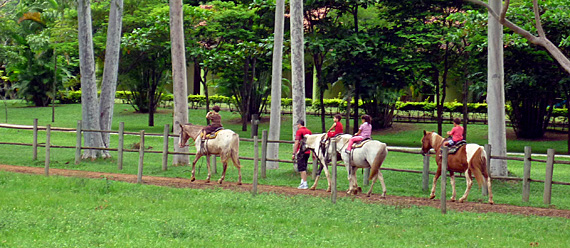 Hotel Fazenda Mazzaropi, Taubaté Hotel Fazenda Mazzaropi, Taubaté