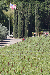 Culinary Institute of America, St. Helena, Napa Culinary Institute of America, St. Helena, Napa