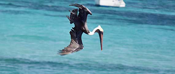 Los Roques Los Roques