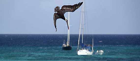 Los Roques Los Roques