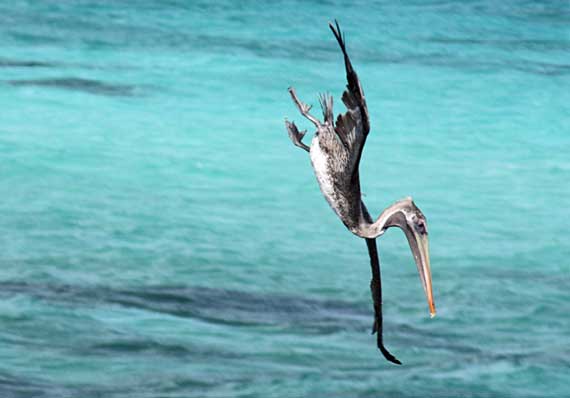 Los Roques Los Roques
