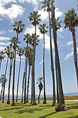 Santa Barbara