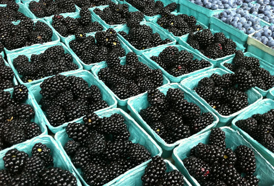 Berries no Eastern Market Berries no Eastern Market
