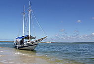 Ilha da Sogra, Estância