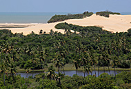 Pantanal de Pacatuba