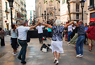 barna-sardana