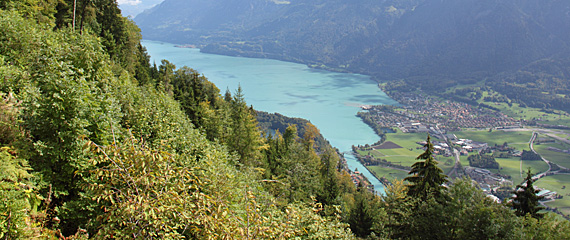 Lago de Thun visto do Harder Kulm Lago de Thun visto do Harder Kulm