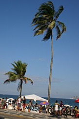 Coqueirão, Ipanema