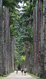 Jardim Botânico