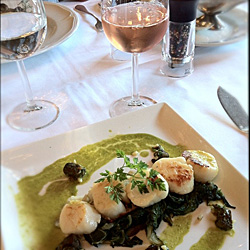 Vieiras em leito de espinafre e escargots