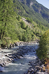 Entre Visp e Zermatt Entre Visp e Zermatt