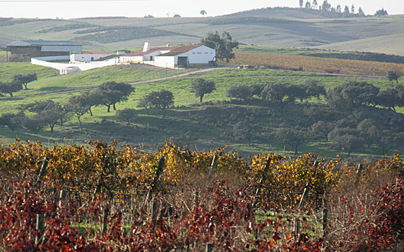 No Alentejo No Alentejo