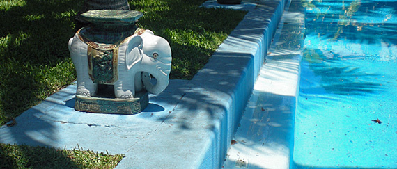 Charada de 18 de novembro de 2011