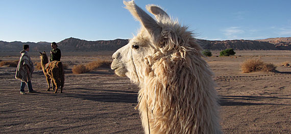Deserto do Atacama, Chile Deserto do Atacama, Chile