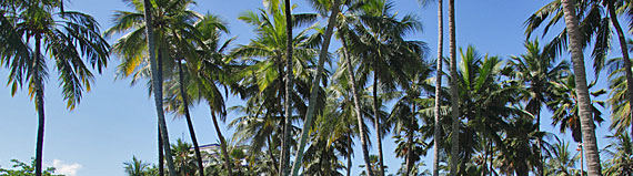 Jatiúca, Maceió Jatiúca, Maceió