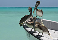 Los Roques Los Roques