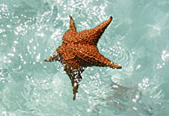 Los Roques Los Roques