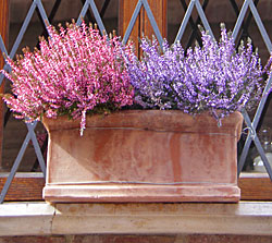Montepulciano Montepulciano