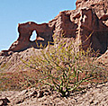 Salta