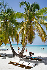 Isla Saona