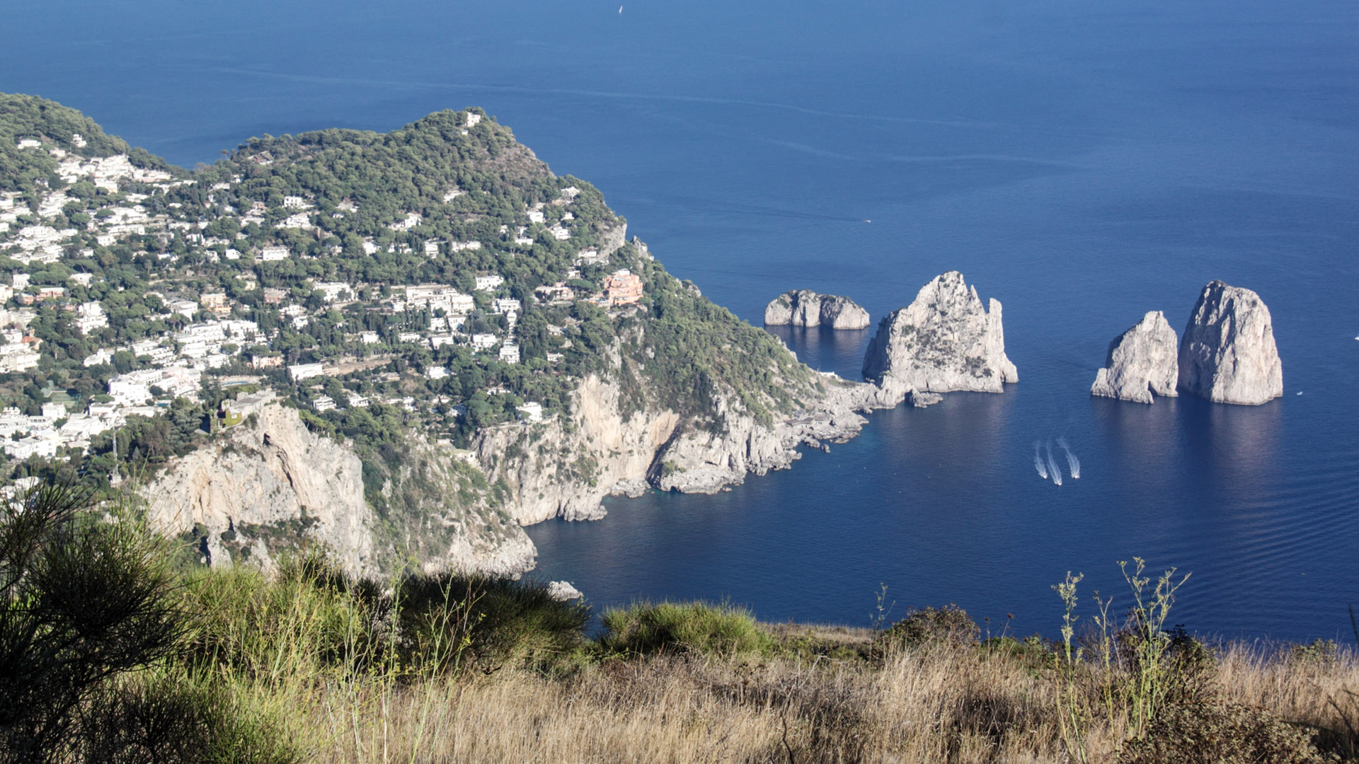 Capri vista do Monte Solaro