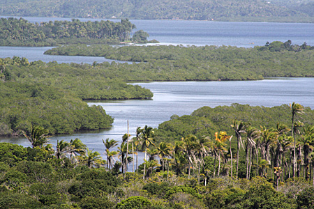 Baía de Camamu, vista do Morro do Celular