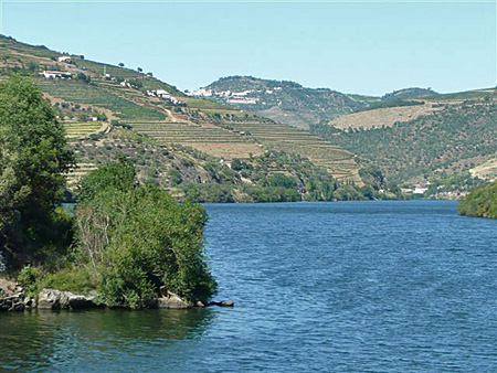 Socalcos ao longo do Douro