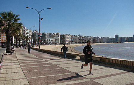 Com o meu cordial bom dia - Viaje na Viagem Com o meu cordial bom dia - Viaje na Viagem